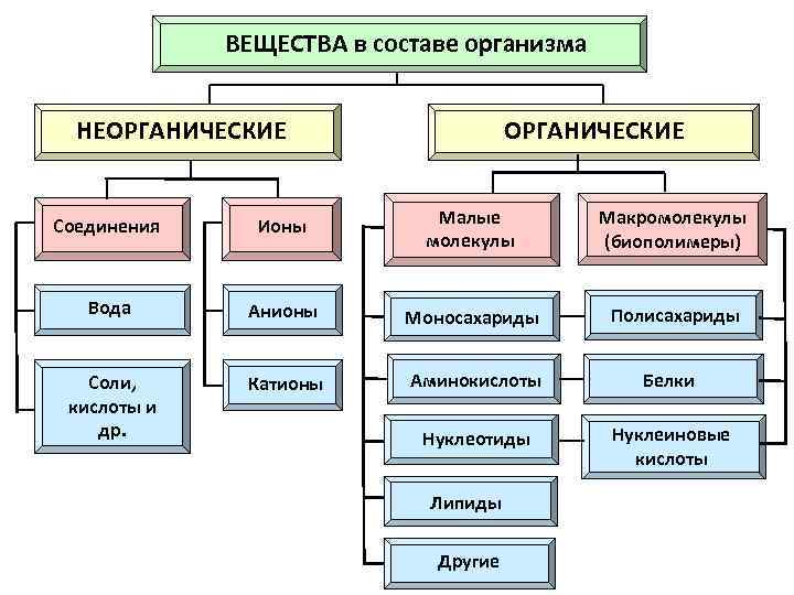 ВЕЩЕСТВА в составе организма НЕОРГАНИЧЕСКИЕ Соединения Ионы Малые молекулы Макромолекулы (биополимеры) Вода Анионы Моносахариды