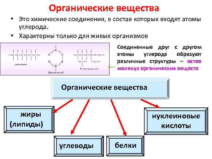 Органические вещества • Это химические соединения, в состав которых входят атомы углерода. • Характерны
