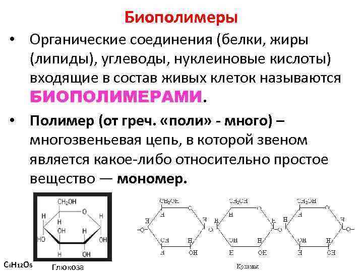 Блок схема дистрофия бжу