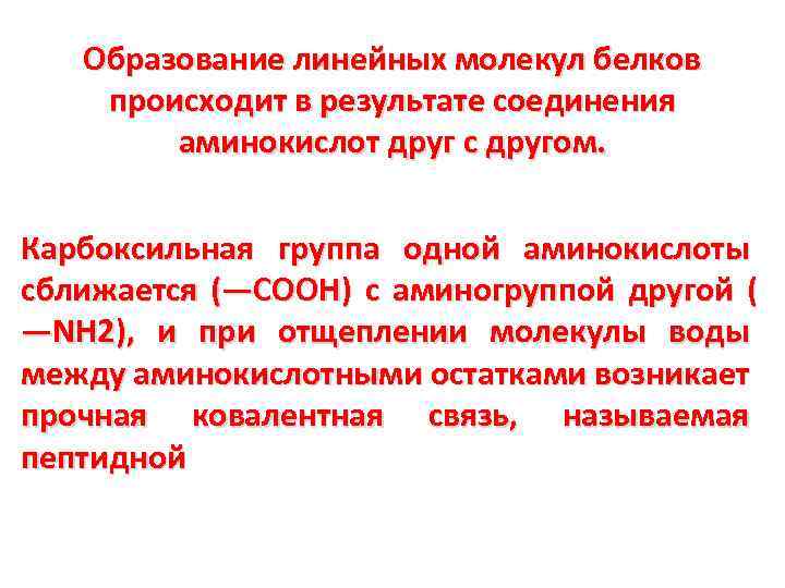 Участвует в образовании белков. Образование белков. Образование белка происходит. Образование белков происходит в 6 класс. Образование белков происходит формула.