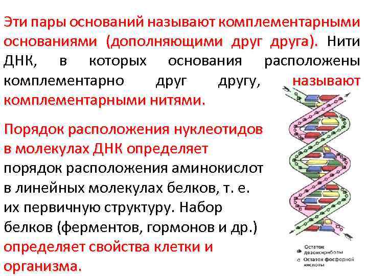 Комплементарная медицина