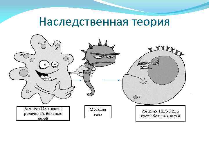 Наследственная теория Антиген DR в крови родителей, больных детей Мутация гена Антиген HLA-DR 2