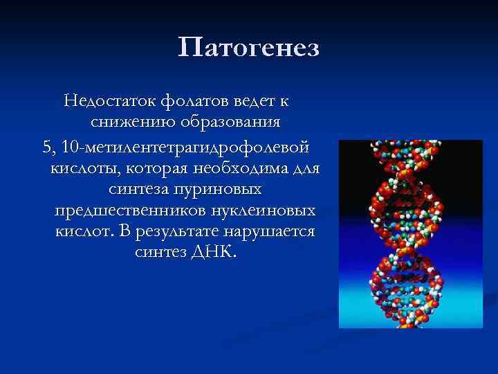 Патогенез Недостаток фолатов ведет к снижению образования 5, 10 -метилентетрагидрофолевой кислоты, которая необходима для