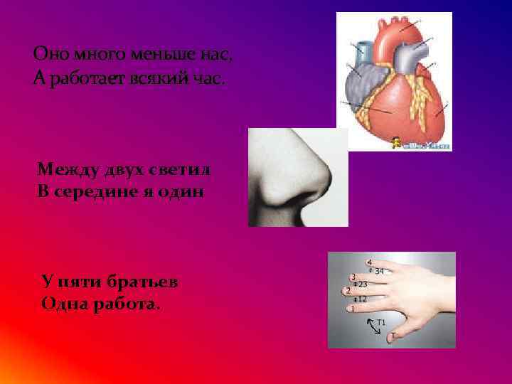 Оно много меньше нас, А работает всякий час. Между двух светил В середине я