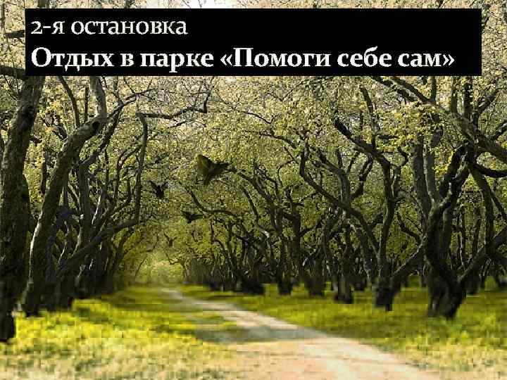 2 -я остановка Отдых в парке «Помоги себе сам» 