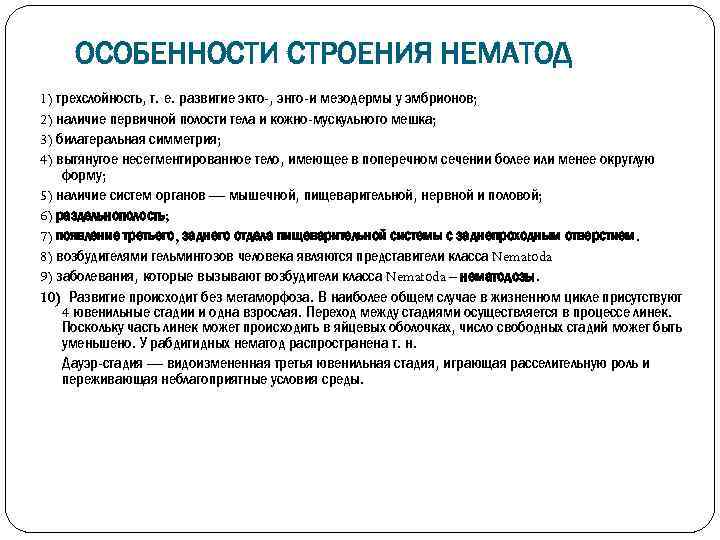 ОСОБЕННОСТИ СТРОЕНИЯ НЕМАТОД 1) трехслойность, т. е. развитие экто-, энто-и мезодермы у эмбрионов; 2)