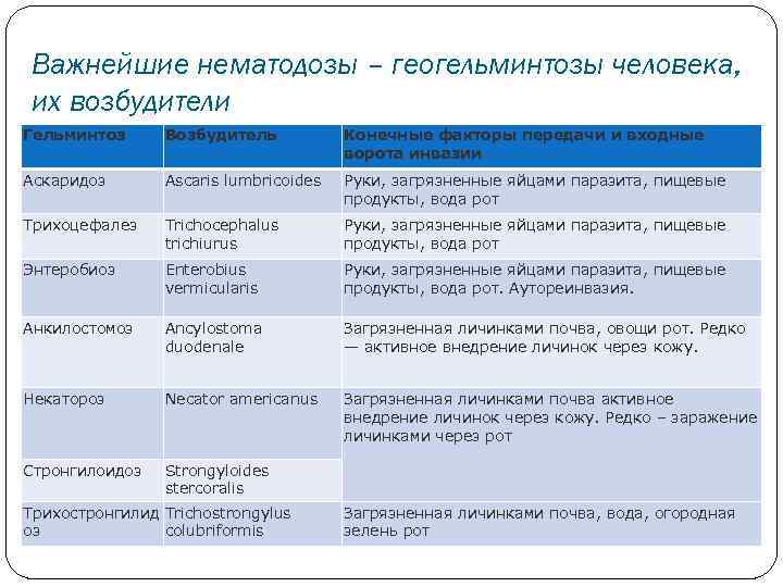 Важнейшие нематодозы – геогельминтозы человека, их возбудители Гельминтоз Возбудитель Конечные факторы передачи и входные