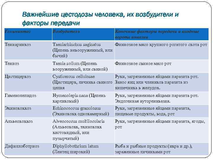 Важнейшие цестодозы человека, их возбудители и факторы передачи Гельминтоз Возбудитель Конечные факторы передачи и