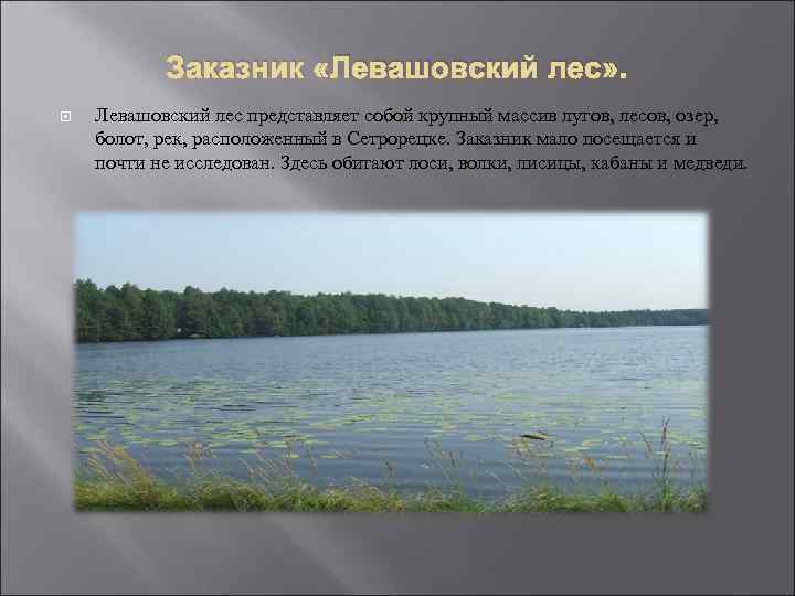 Заказник «Левашовский лес» . Левашовский лес представляет собой крупный массив лугов, лесов, озер, болот,
