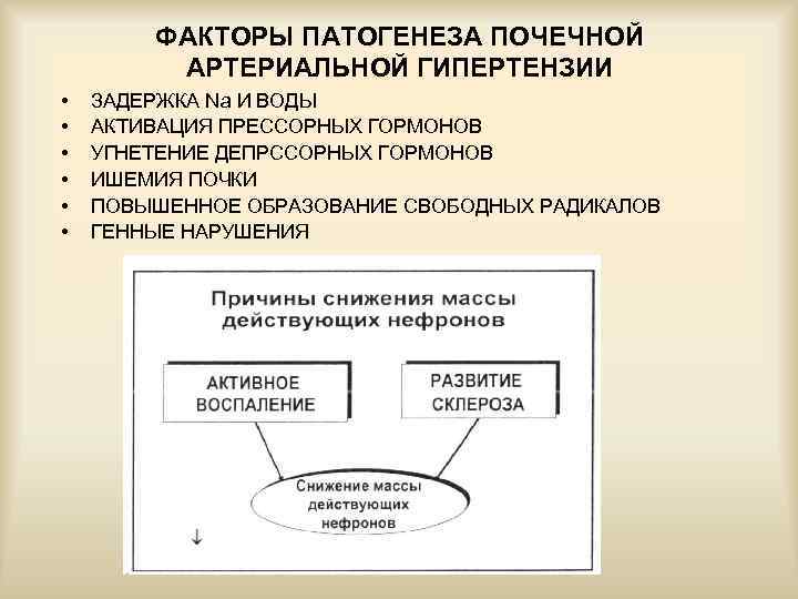 ФАКТОРЫ ПАТОГЕНЕЗА ПОЧЕЧНОЙ АРТЕРИАЛЬНОЙ ГИПЕРТЕНЗИИ • • • ЗАДЕРЖКА Nа И ВОДЫ АКТИВАЦИЯ ПРЕССОРНЫХ