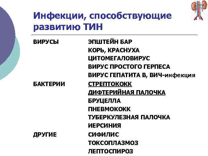 Инфекции, способствующие развитию ТИН ВИРУСЫ ЭПШТЕЙН БАР КОРЬ, КРАСНУХА ЦИТОМЕГАЛОВИРУС ПРОСТОГО ГЕРПЕСА ВИРУС ГЕПАТИТА