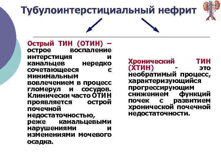 Хронический нефрит