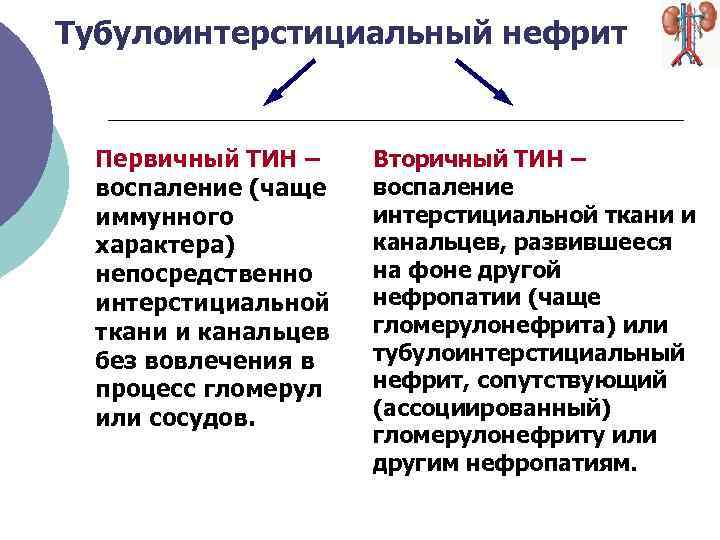 Тубулоинтерстициальный нефрит презентация