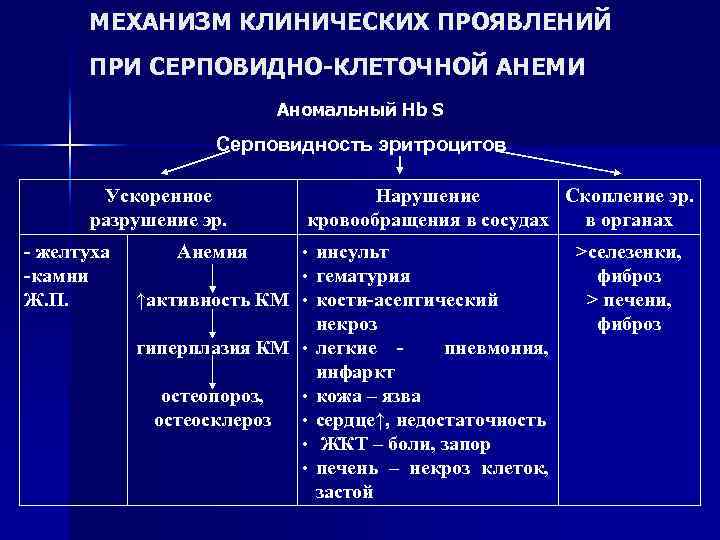 МЕХАНИЗМ КЛИНИЧЕСКИХ ПРОЯВЛЕНИЙ ПРИ СЕРПОВИДНО-КЛЕТОЧНОЙ АНЕМИ Аномальный Hb S Серповидность эритроцитов Ускоренное разрушение эр.