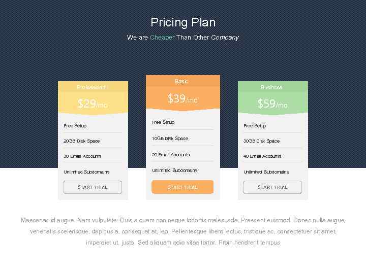 Pricing Plan 112 We are Cheaper Than Other Company Basic Professional $29/mo Free Setup