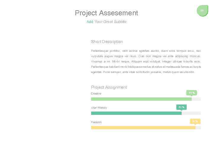 Project Assesement 58 Add Your Great Subtitle Short Description Pellentesque porttitor, velit lacinia egestas