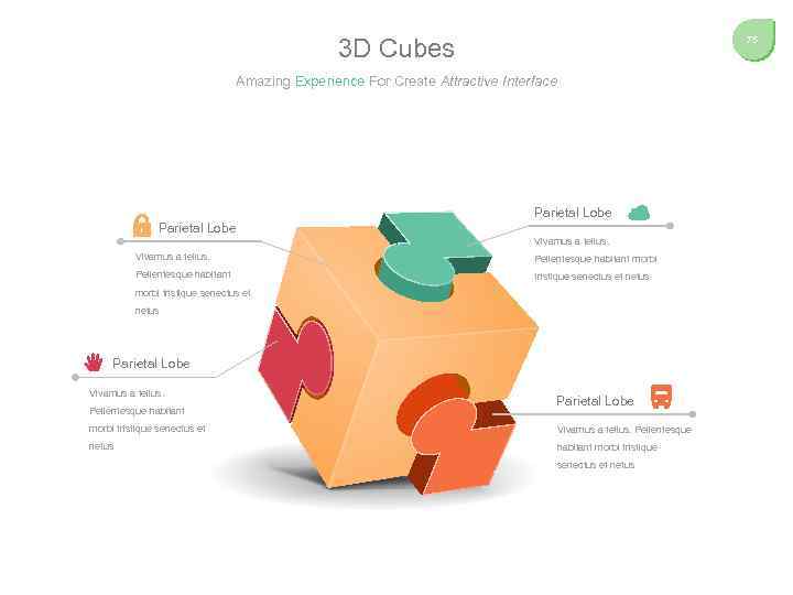 3 D Cubes 75 Amazing Experience For Create Attractive Interface Parietal Lobe Vivamus a