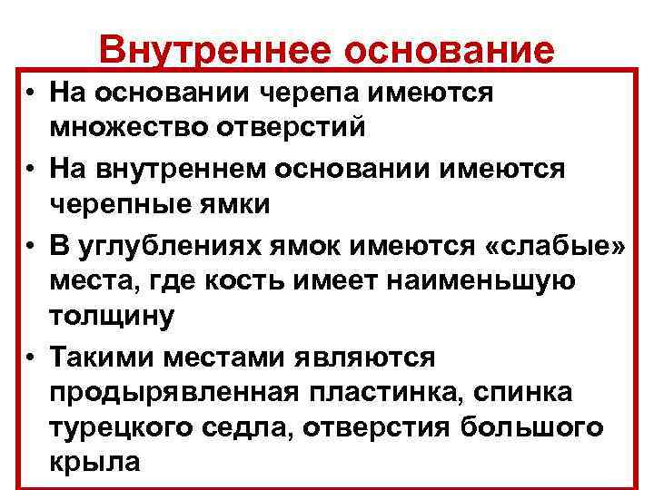 Внутреннее основание • На основании черепа имеются множество отверстий • На внутреннем основании имеются