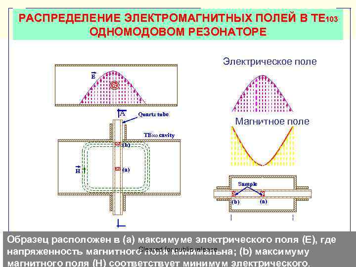 РАСПРЕДЕЛЕНИЕ ЭЛЕКТРОМАГНИТНЫХ ПОЛЕЙ В TE 103 ОДНОМОДОВОМ РЕЗОНАТОРЕ Электрическое поле E E A Quartz