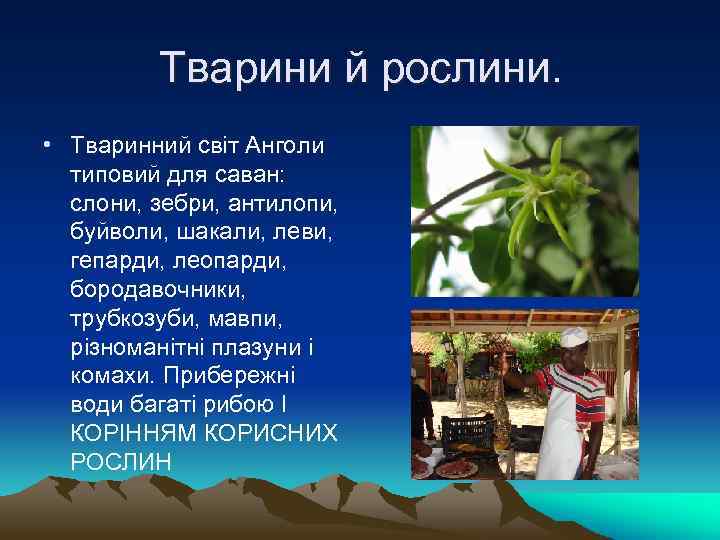 Тварини й рослини. • Тваринний світ Анголи типовий для саван: слони, зебри, антилопи, буйволи,