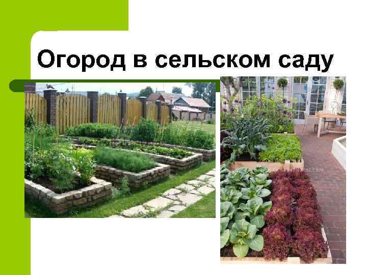 Огород в сельском саду 