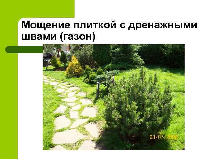 Мощение плиткой с дренажными швами (газон) 