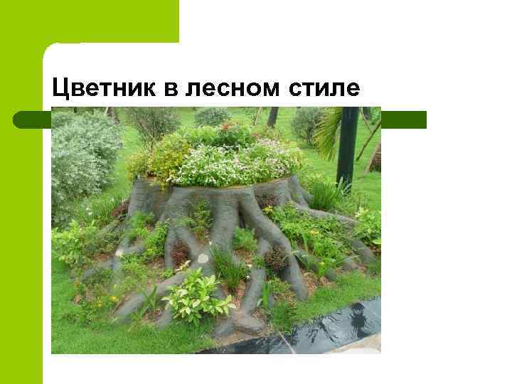 Цветник в лесном стиле 