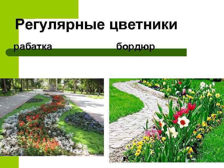 Регулярные цветники рабатка бордюр 