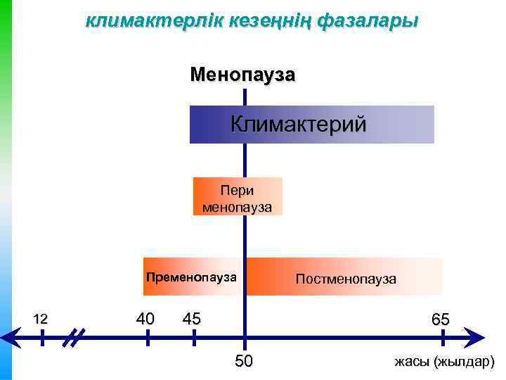 климактерлік кезеңнің фазалары Менопауза Климактерий Пери менопауза Пременопауза 12 40 45 Постменопауза 65 50