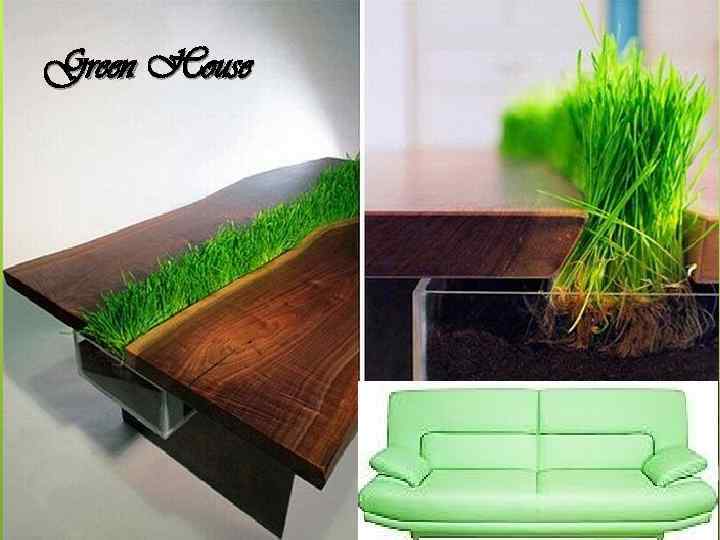 Green House 