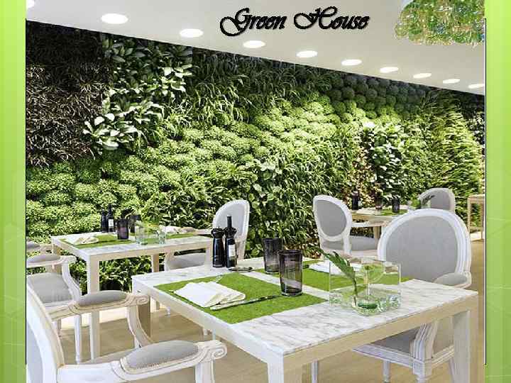 Green House 