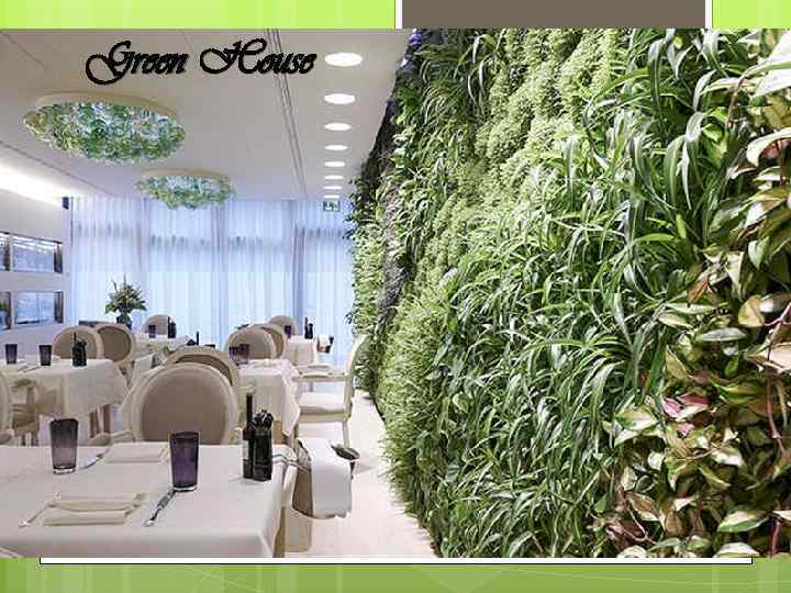 Green House 