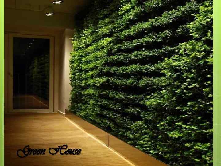 Green House 