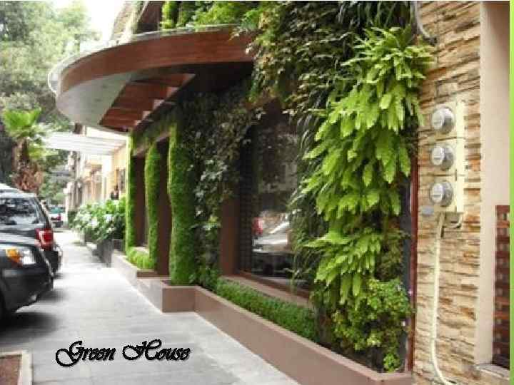 Green House 