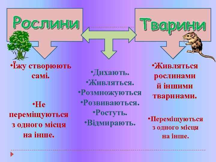 Рослини • Їжу створюють самі. • Не переміщуються з одного місця на інше. Тварини