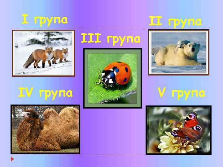 І група ІІІ група ІV група 