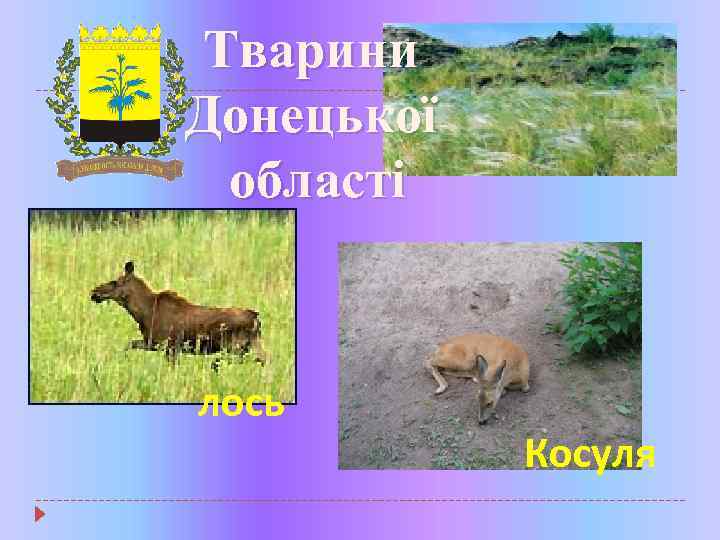 Тварини Донецької області лось Косуля 