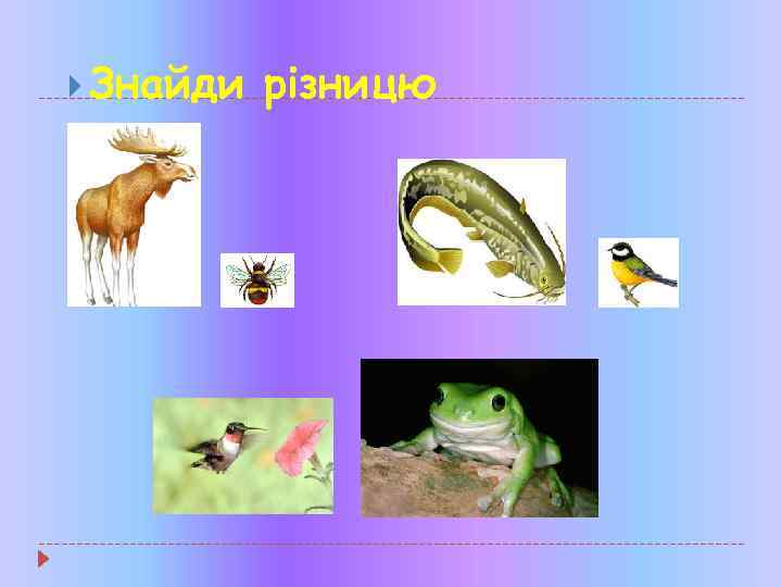  Знайди різницю 