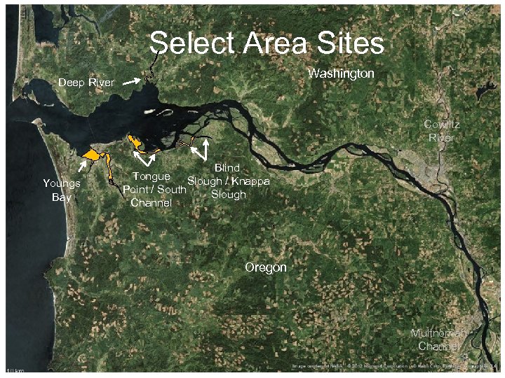 Select Area Sites Washington Deep River Cowlitz River Youngs Bay Blind Tongue Slough /