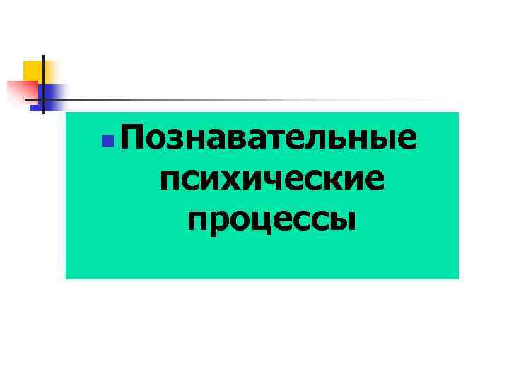 n Познавательные психические процессы 