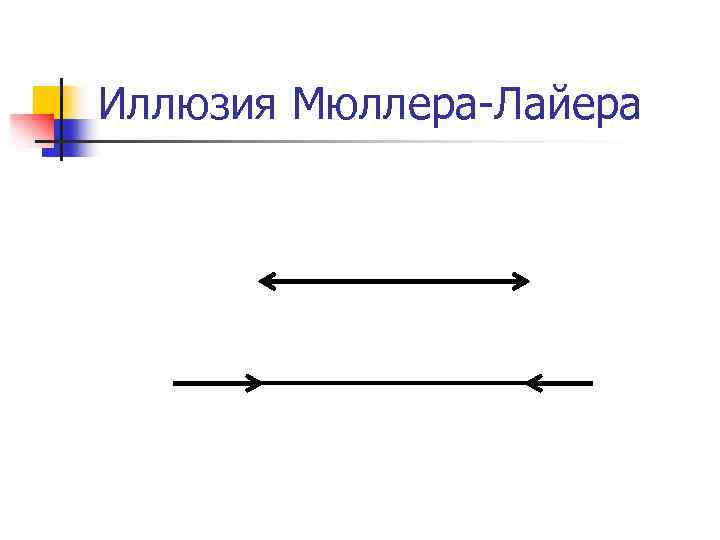 Иллюзия Мюллера-Лайера 