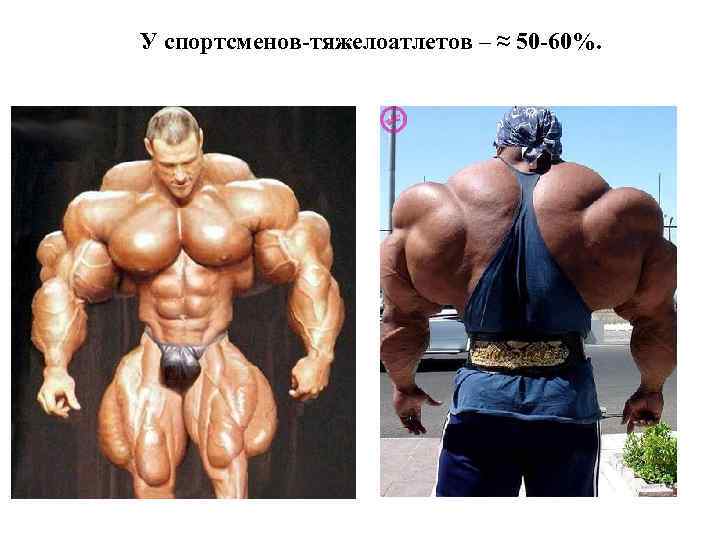 У спортсменов-тяжелоатлетов – ≈ 50 -60%. 