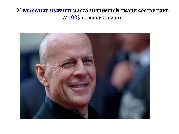 У взрослых мужчин масса мышечной ткани составляет ≈ 40% от массы тела; 