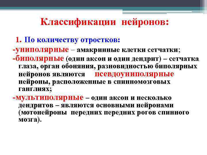 Классификации нейронов: 1. По количеству отростков: -униполярные – амакринные клетки сетчатки; -биполярные (один аксон