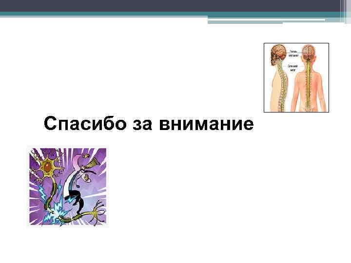 Спасибо за внимание 