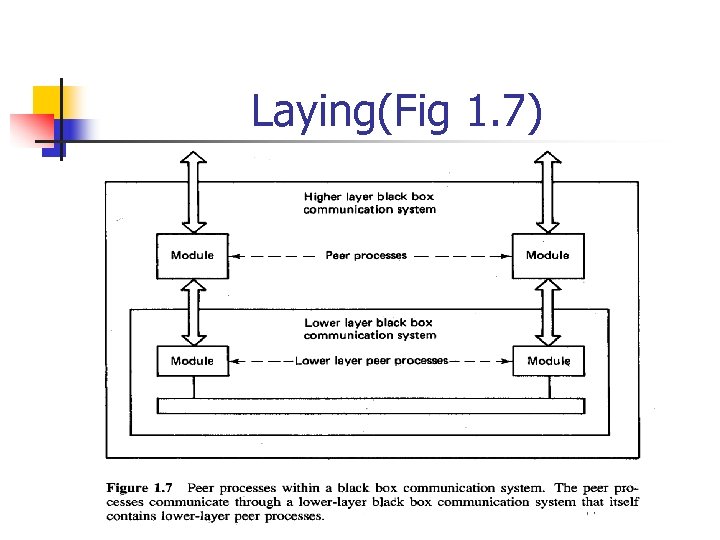 Laying(Fig 1. 7) 