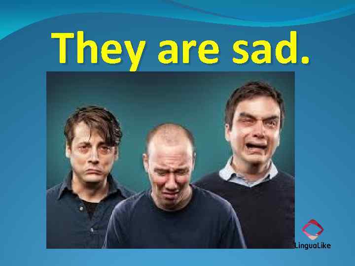 They are sad. 