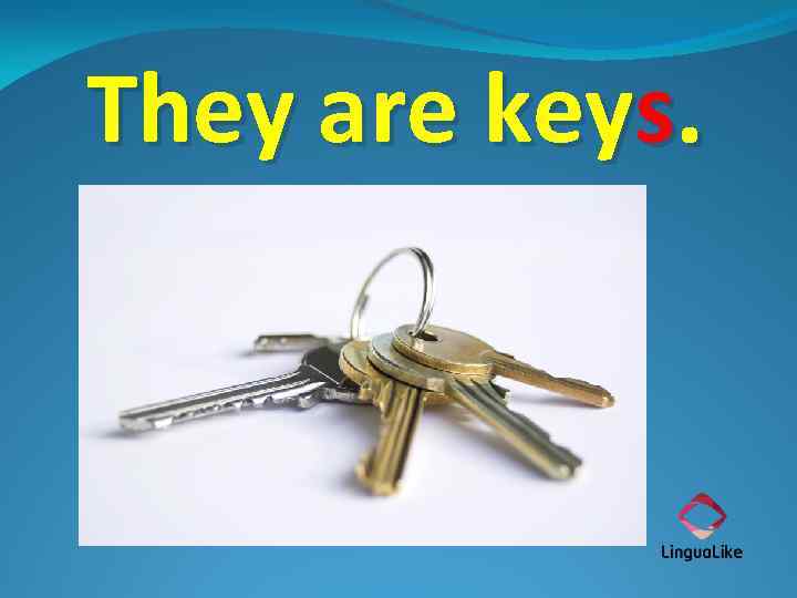 They are keys. 