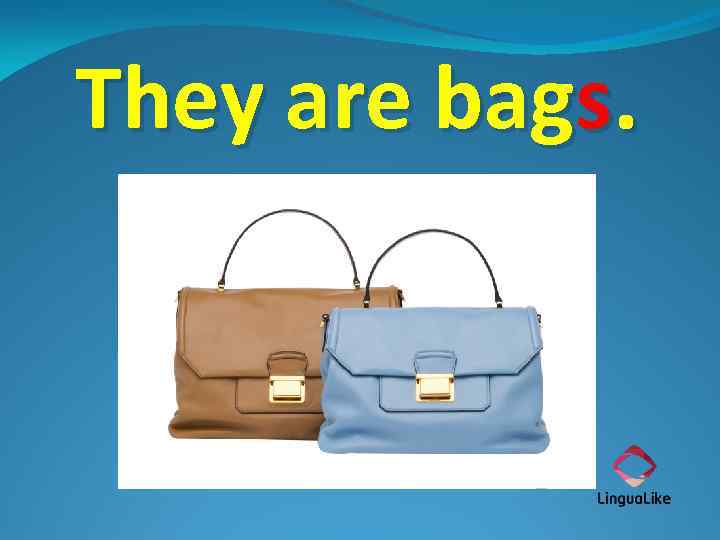 They are bags. 