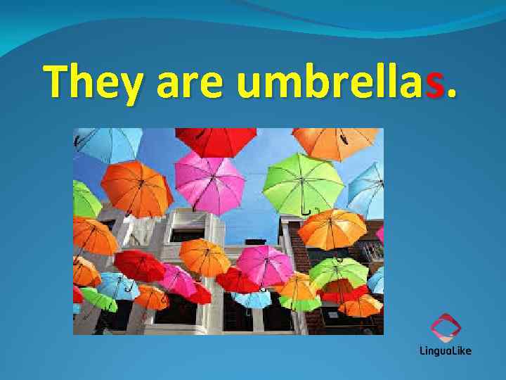 They are umbrellas. 